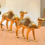 51i kn6qtyl. sx300 sy300 ql70 fmwebp (1) (1)