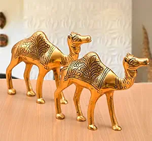 51i kn6qtyl. sx300 sy300 ql70 fmwebp (1) (1)